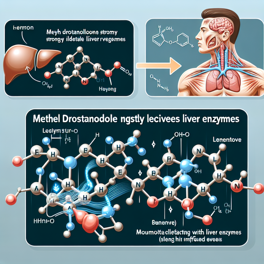 Warum Methyl drostanolon die Leberenzyme so stark anhebt: Mechanismus erklärt